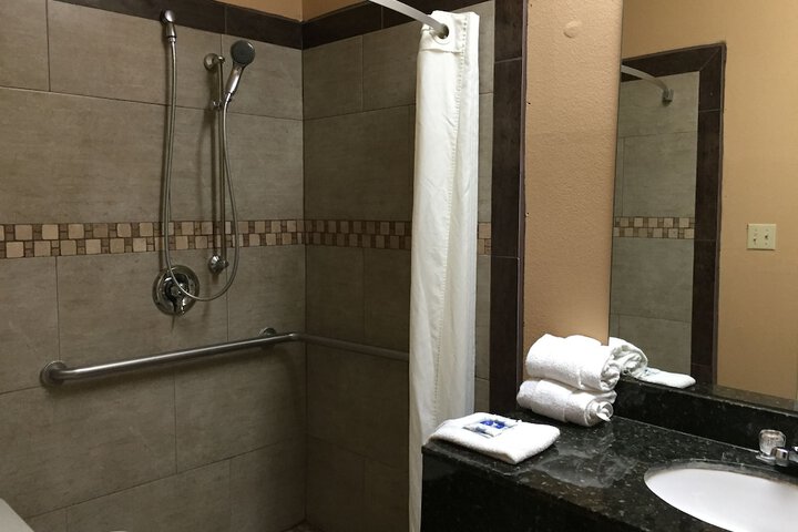 Texas Inn Alamo