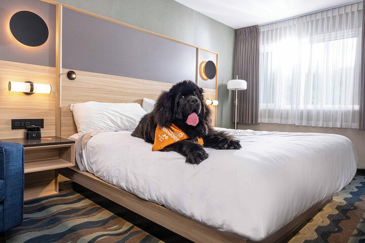 Accent Inns Kamloops