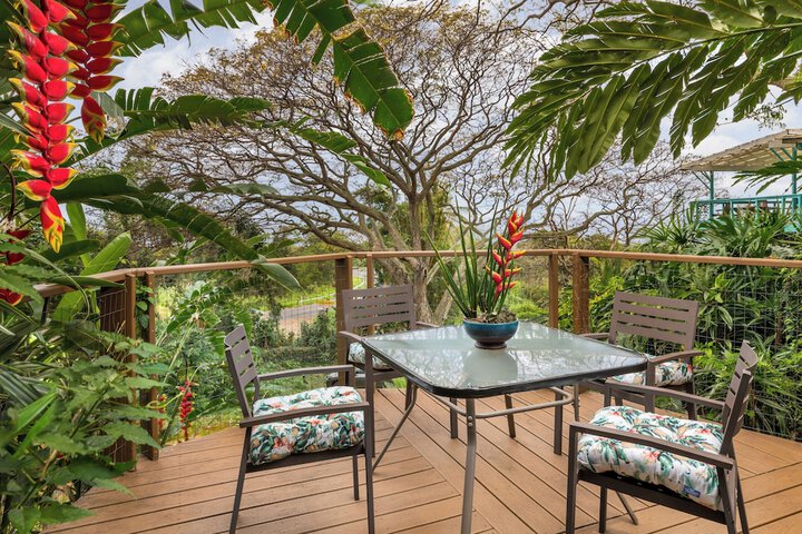Terrace/Patio 21 of 44
