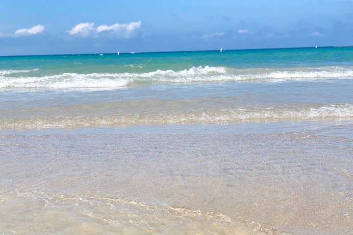 Beach 64 of 73