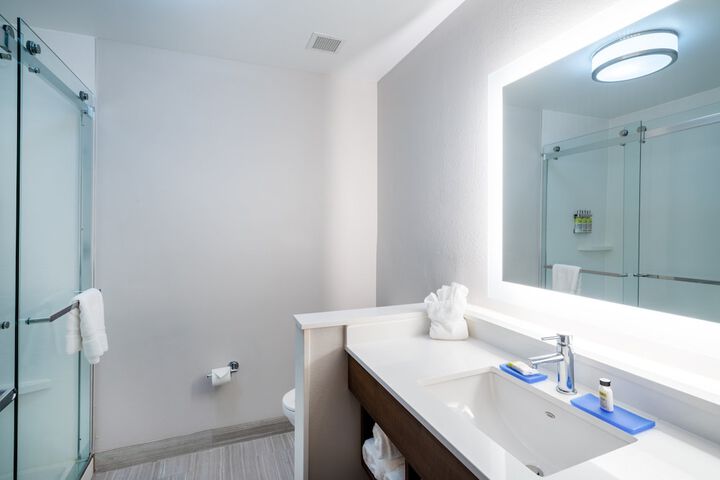 Holiday Inn Express & Suites Atlanta Airport NE - Hapeville by IHG