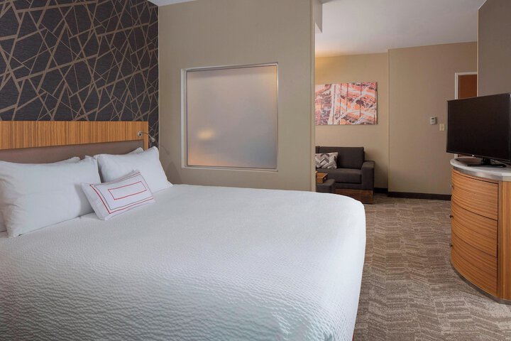 SpringHill Suites by Marriott St. Louis Airport / Earth City