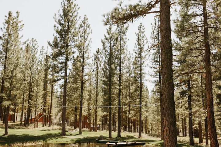 Chalet View Lodge