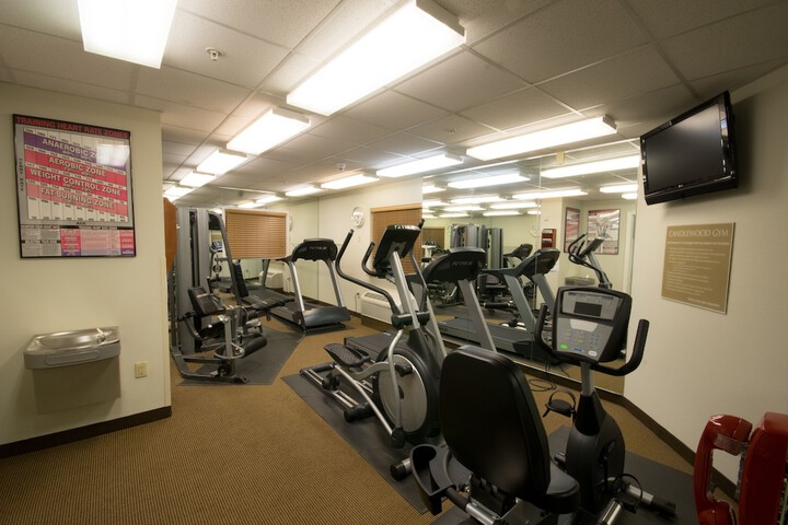 Health and Fitness 28 of 33