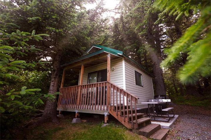 Cabin 3 Lynn View Lodge