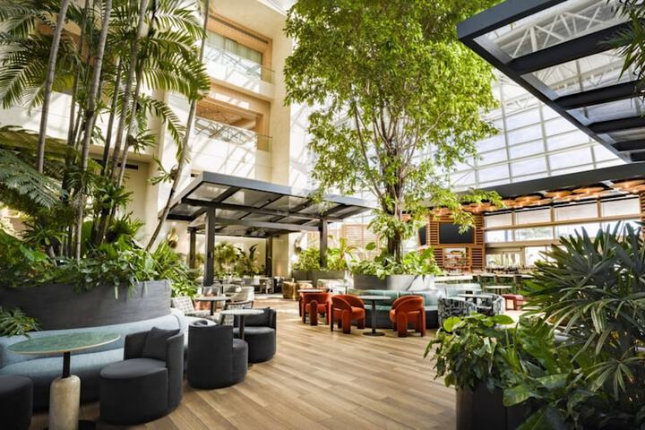 Signia by Hilton Diplomat Beach Resort