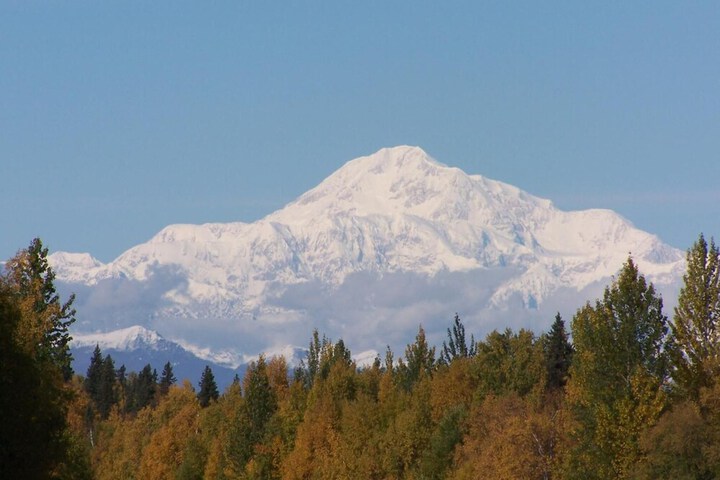 Denali Primrose B & B