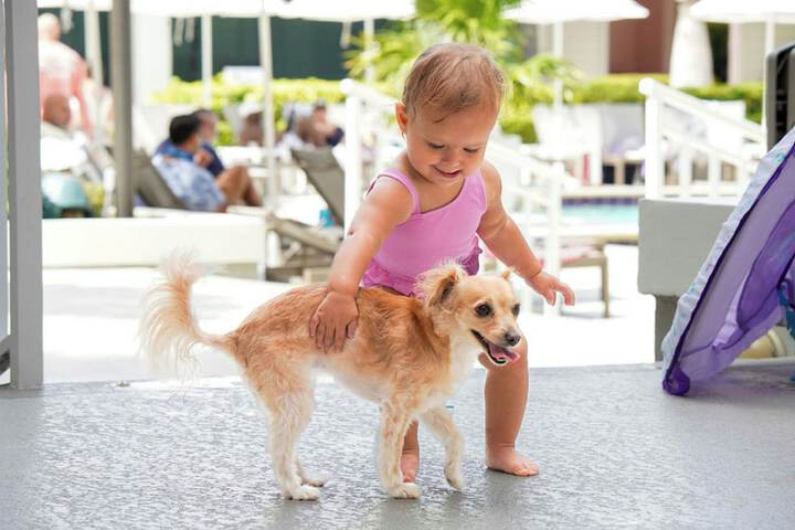 Marriott Hutchinson Island Resort & Beach Villas Golf & Marina