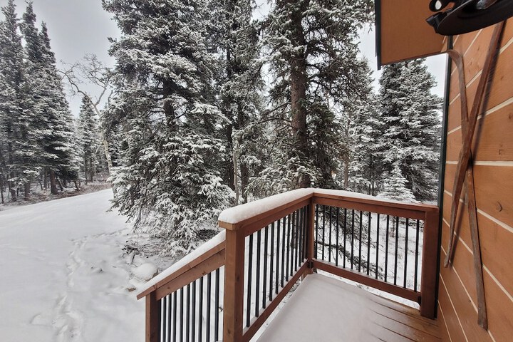 Denali Wild Stay