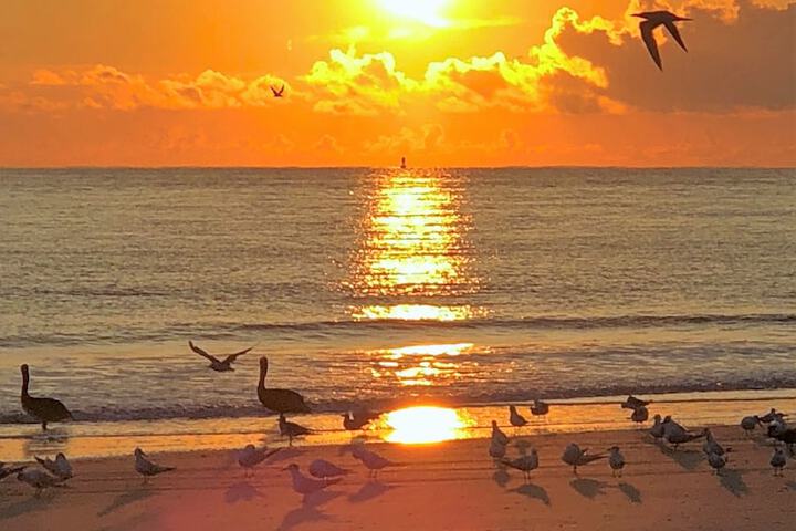 Hotel Tybee