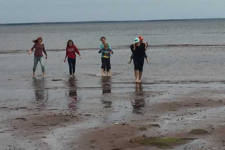 Beach 50 of 64