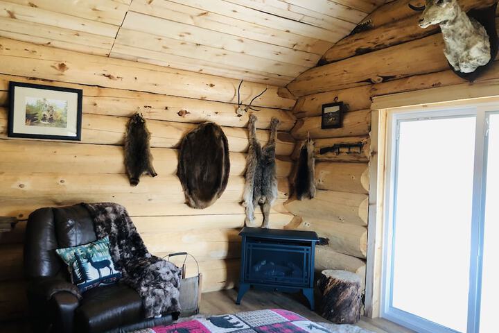 Wrangell Mountain Lodge