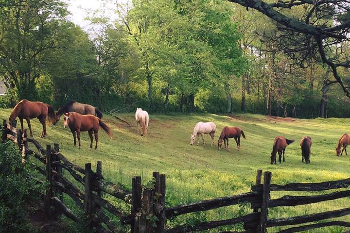 Seventy-four Ranch