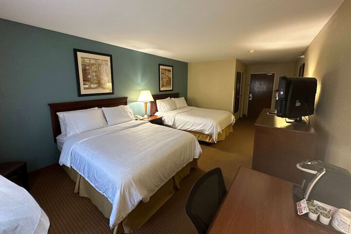 Room 41 of 51