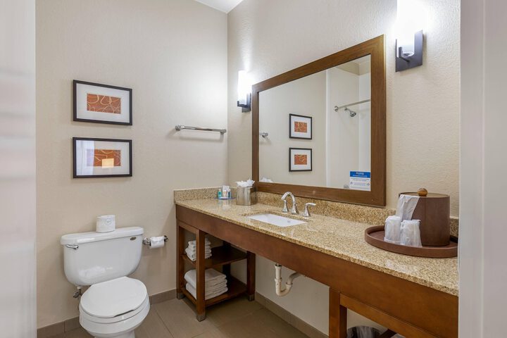 Comfort Inn Memphis Downtown