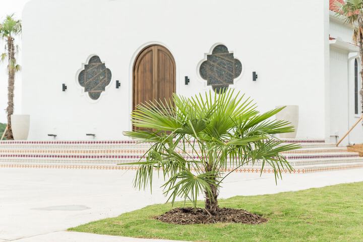 Local Attraction 113 of 122