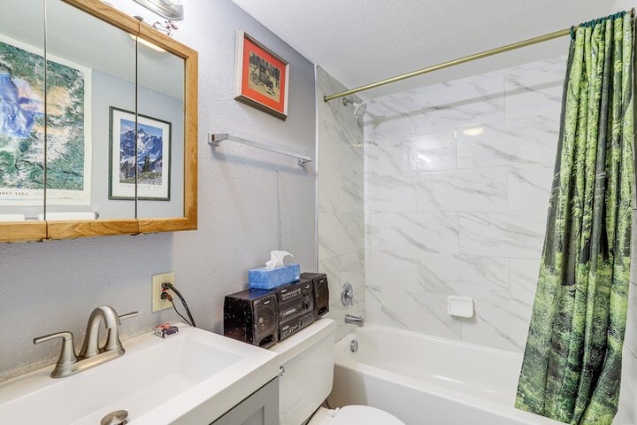 Picturesque Mt. Spokane Condo Near Skiing & Biking!
