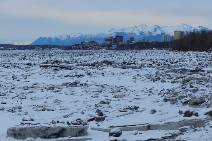 Puffin Inn of Anchorage