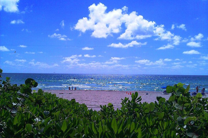 Beach 82 of 94