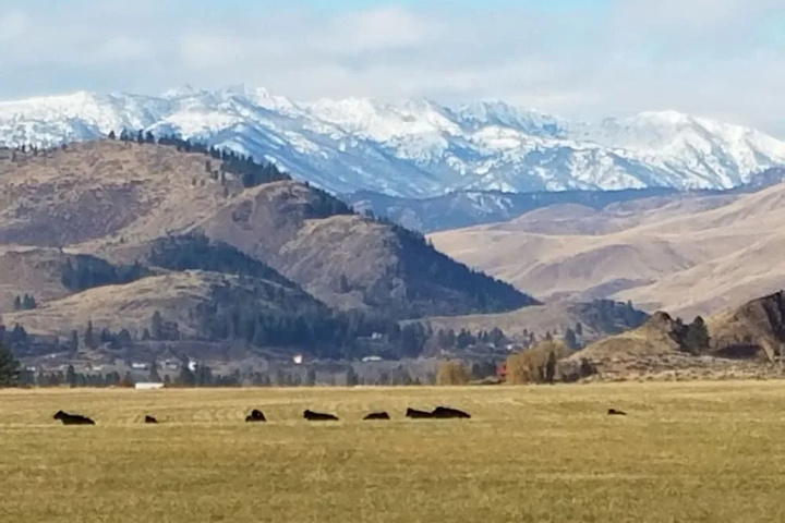 Twisp Terrace Lodge