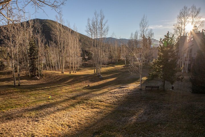 Property Grounds 31 of 31