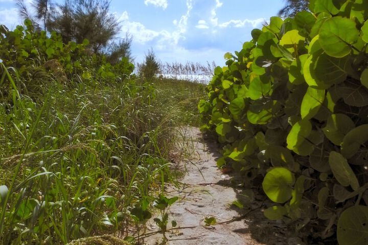 Casey Key Resorts - Beachfront