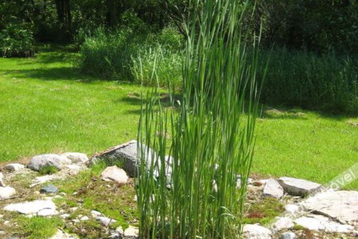 Chickadee Lane Bed & Breakfast