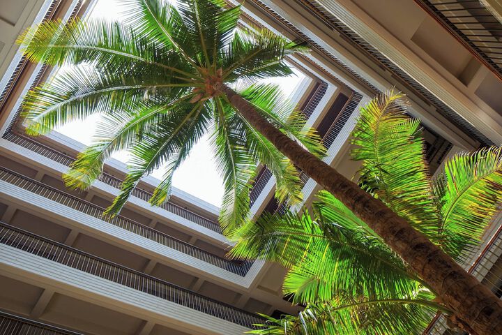 Mauna Kea Beach Hotel Autograph Collection