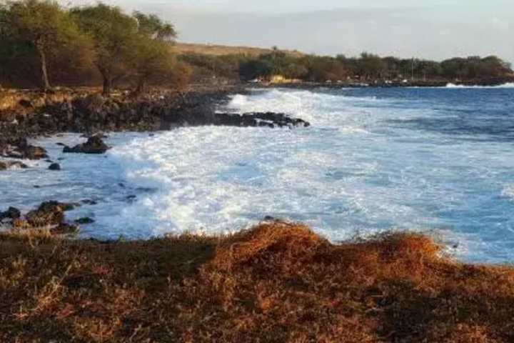 Aloha Cottage