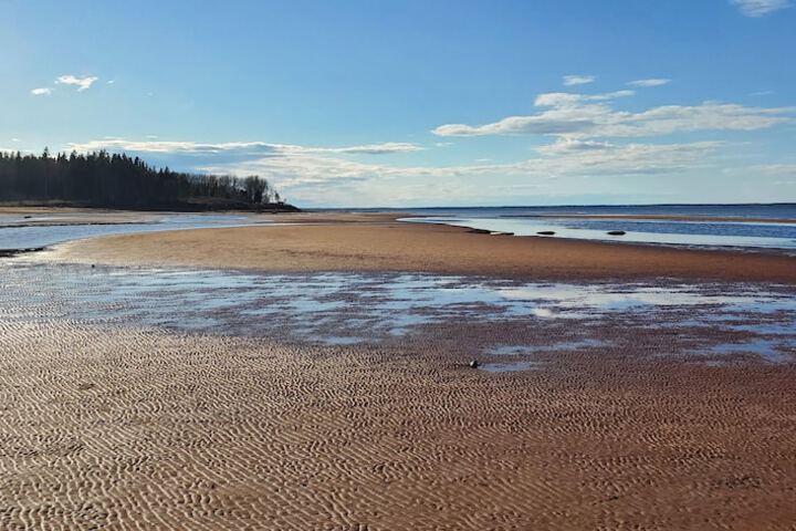 Beach 49 of 64