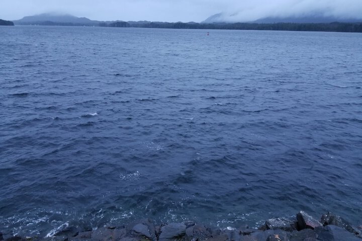 Super 8 by Wyndham Ketchikan