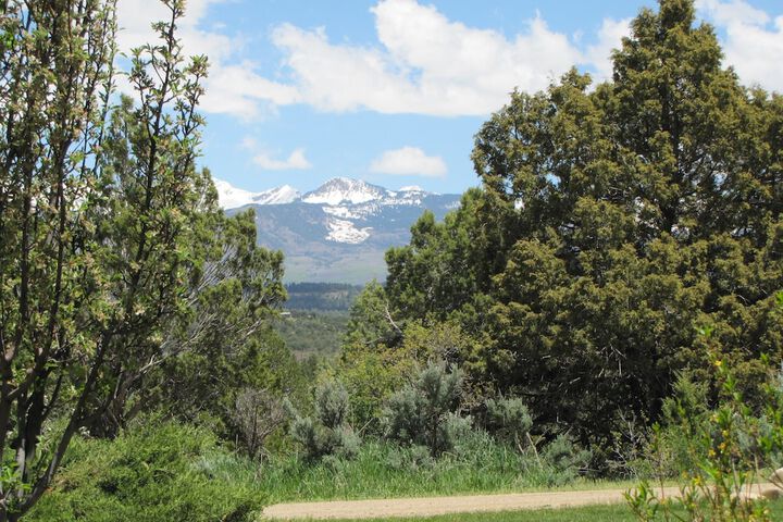 Starry Nights Ranch Bed & Breakfast