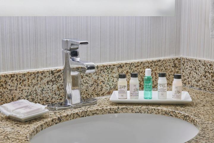 Delta Hotels by Marriott Detroit Novi