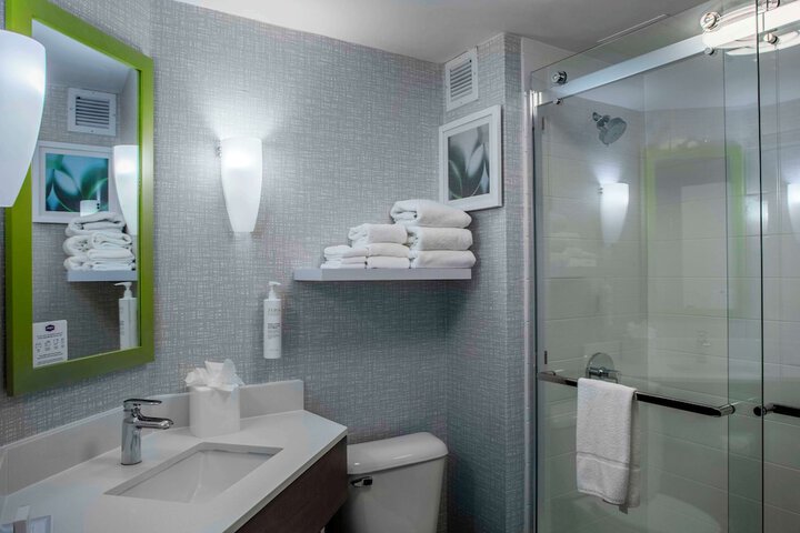 Hampton Inn Detroit / Northville
