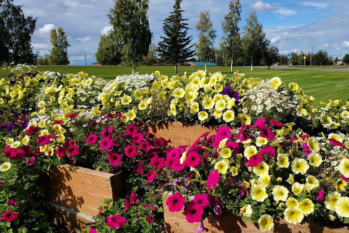 Delta Accommodations-Alaska Country Inn