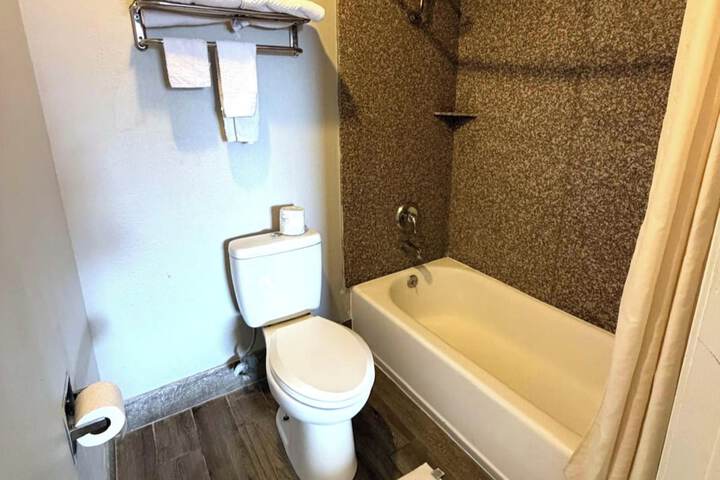Regency Inn Three Rivers I-37