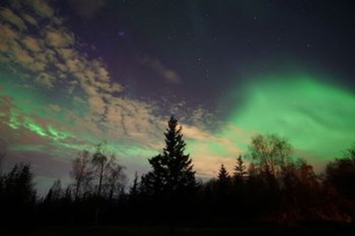 Fairbanks Moose Manor B & B