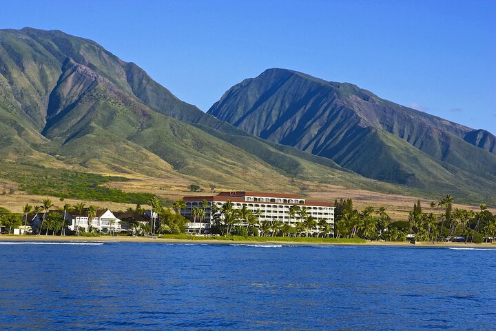 Lahaina Shores