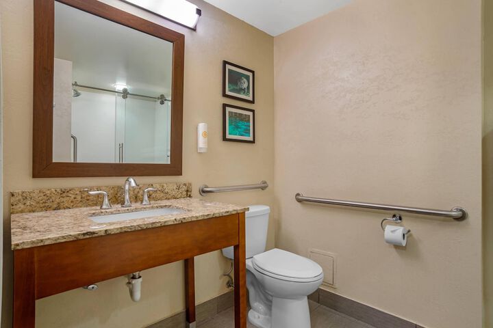 Comfort Suites Tallahassee Capitol - University Area