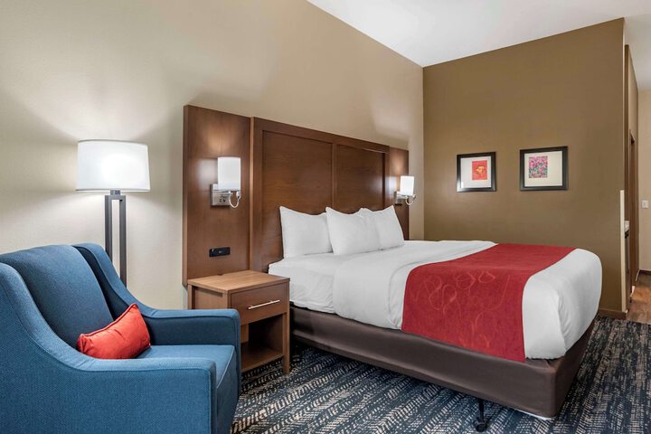 Comfort Inn & Suites Downtown near University