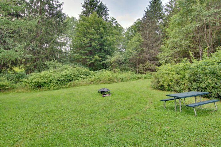 Sauna Spa & Stargazing: Coudersport Home!