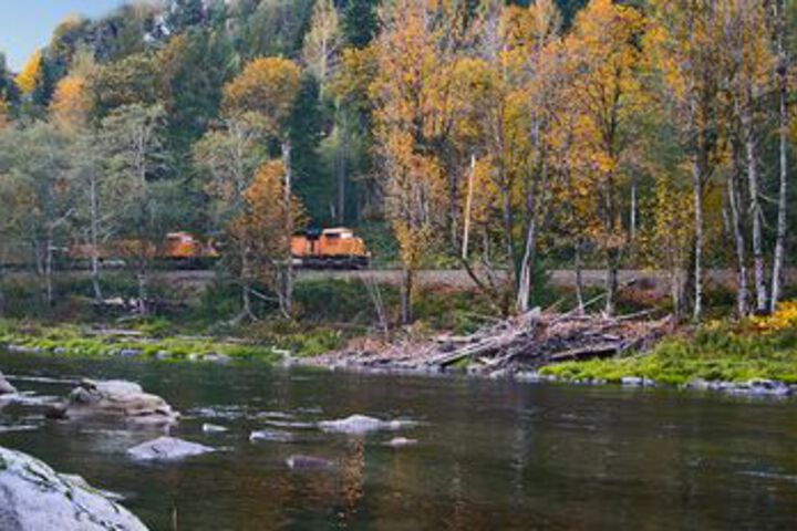 Huckleberry Hideout Cabin with Hot Tub