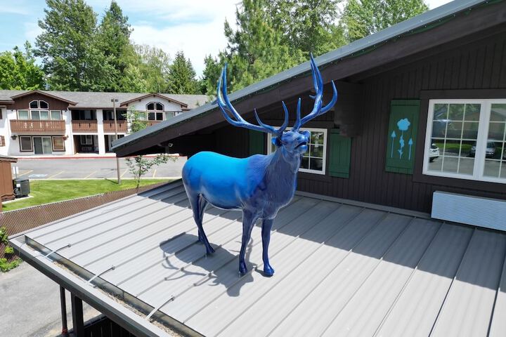 Blue Elk Inn