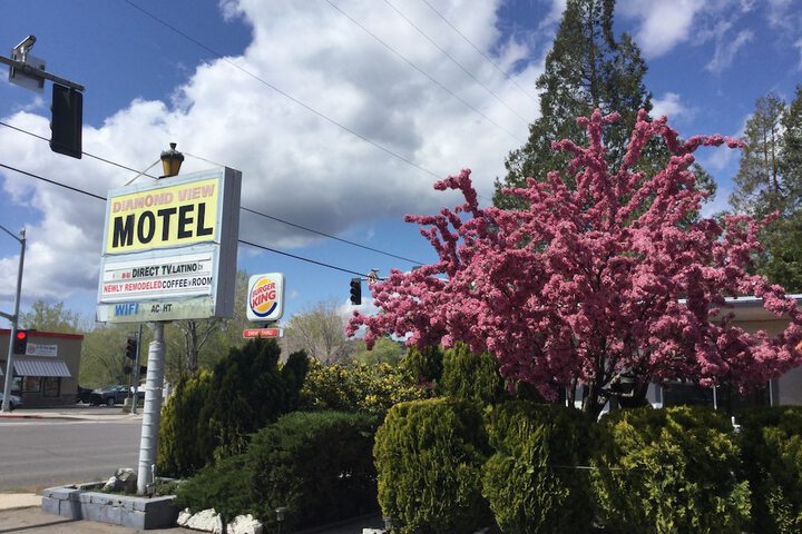 Hotel 3 of 36
