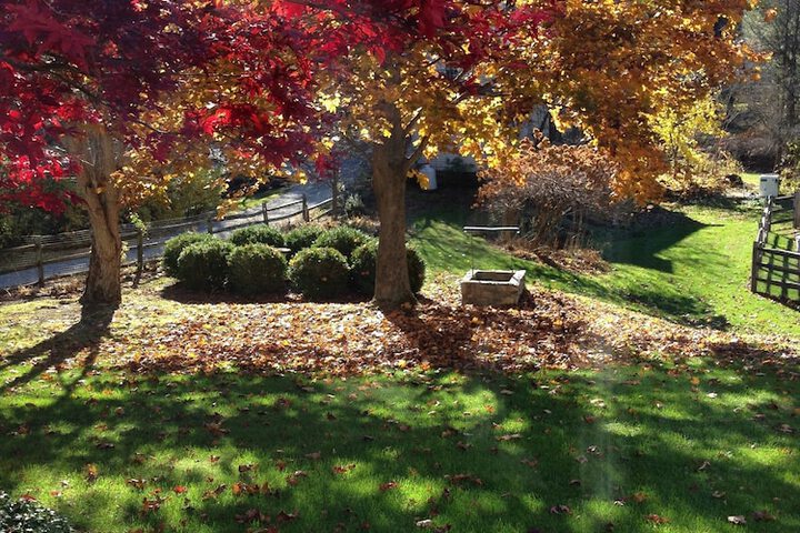 Property Grounds 51 of 52