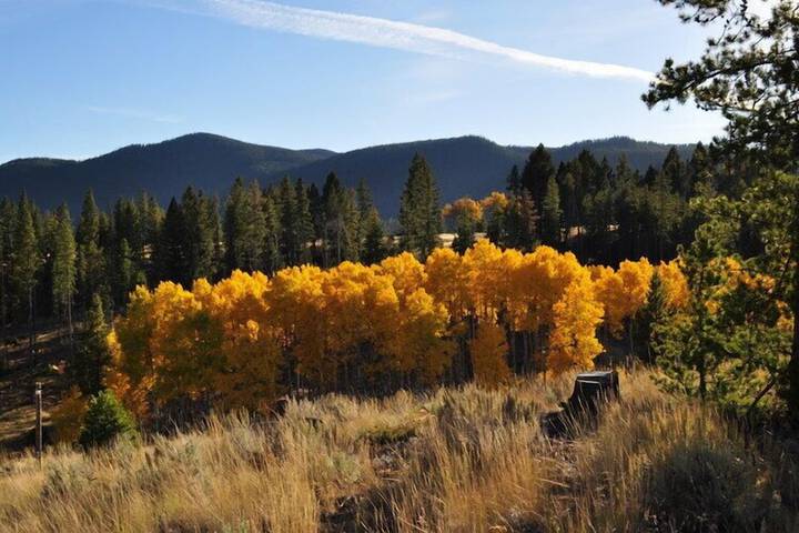 Homestake Lodge