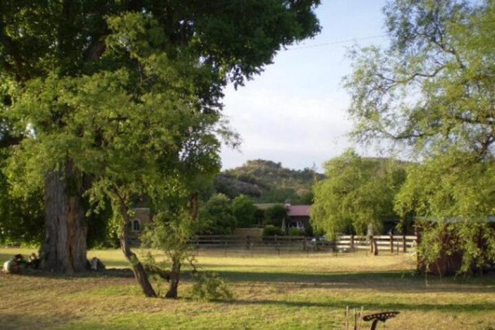 Spirit Tree Inn B & B