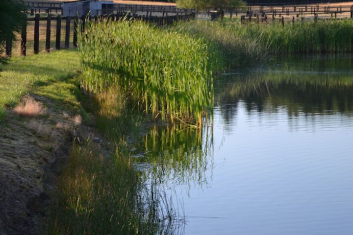 Wildwood Farm B & B