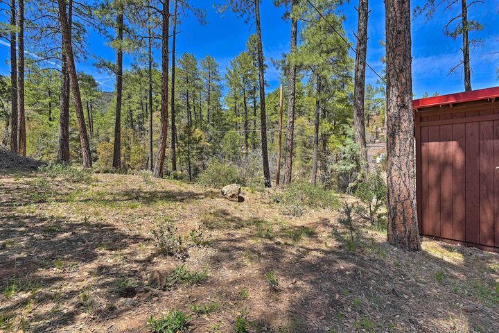 Cabin in Tonto National Forest: Deck & Views!