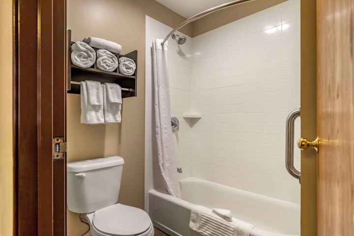Comfort Inn & Suites Ludington near US-10